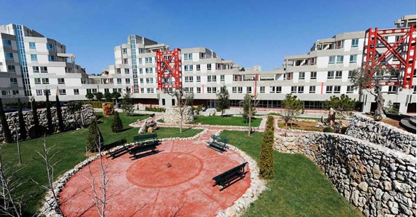 img (9)